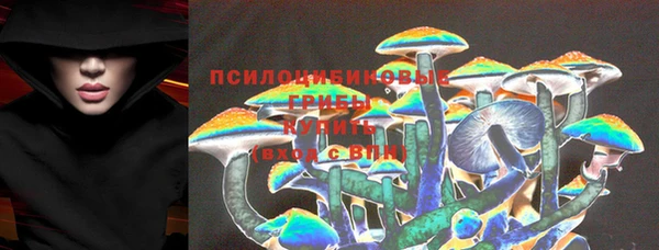 дживик Абинск