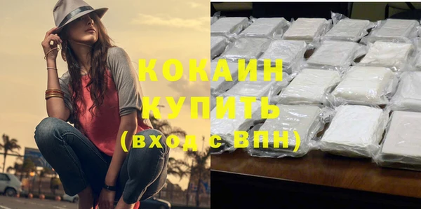 дживик Абинск