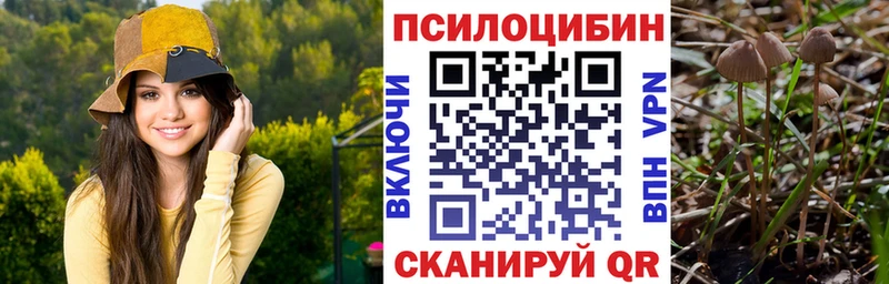 Псилоцибиновые грибы Psilocybe Усолье-Сибирское